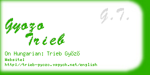 gyozo trieb business card